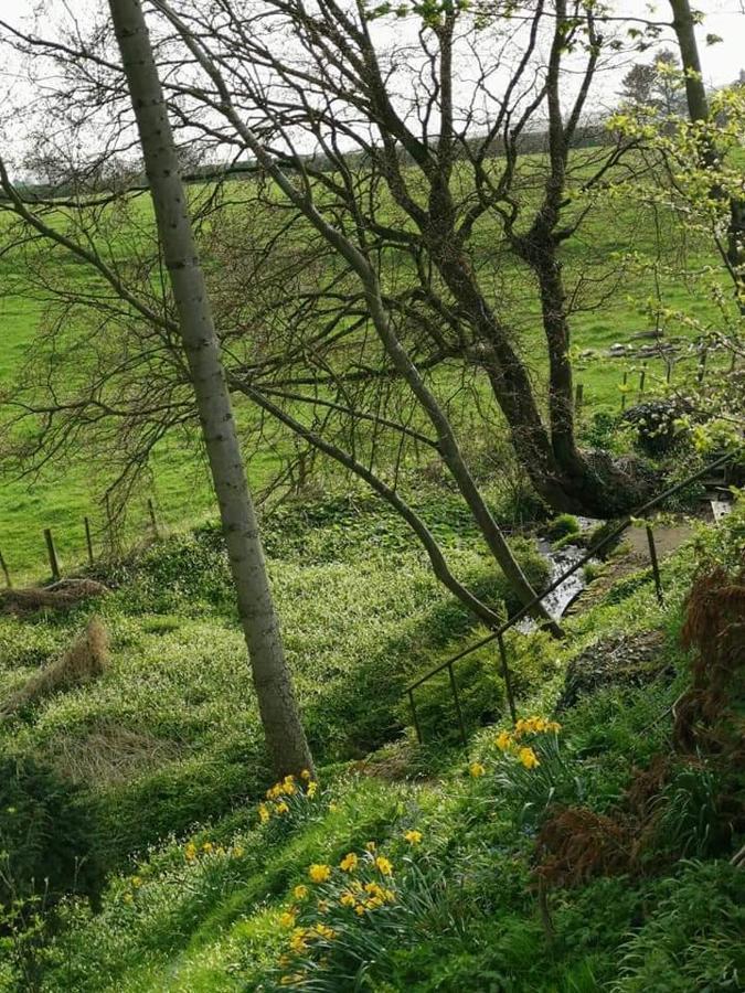 Relax In A 1 Bedroom Apartment Near A Country Pub Eyemouth Buitenkant foto