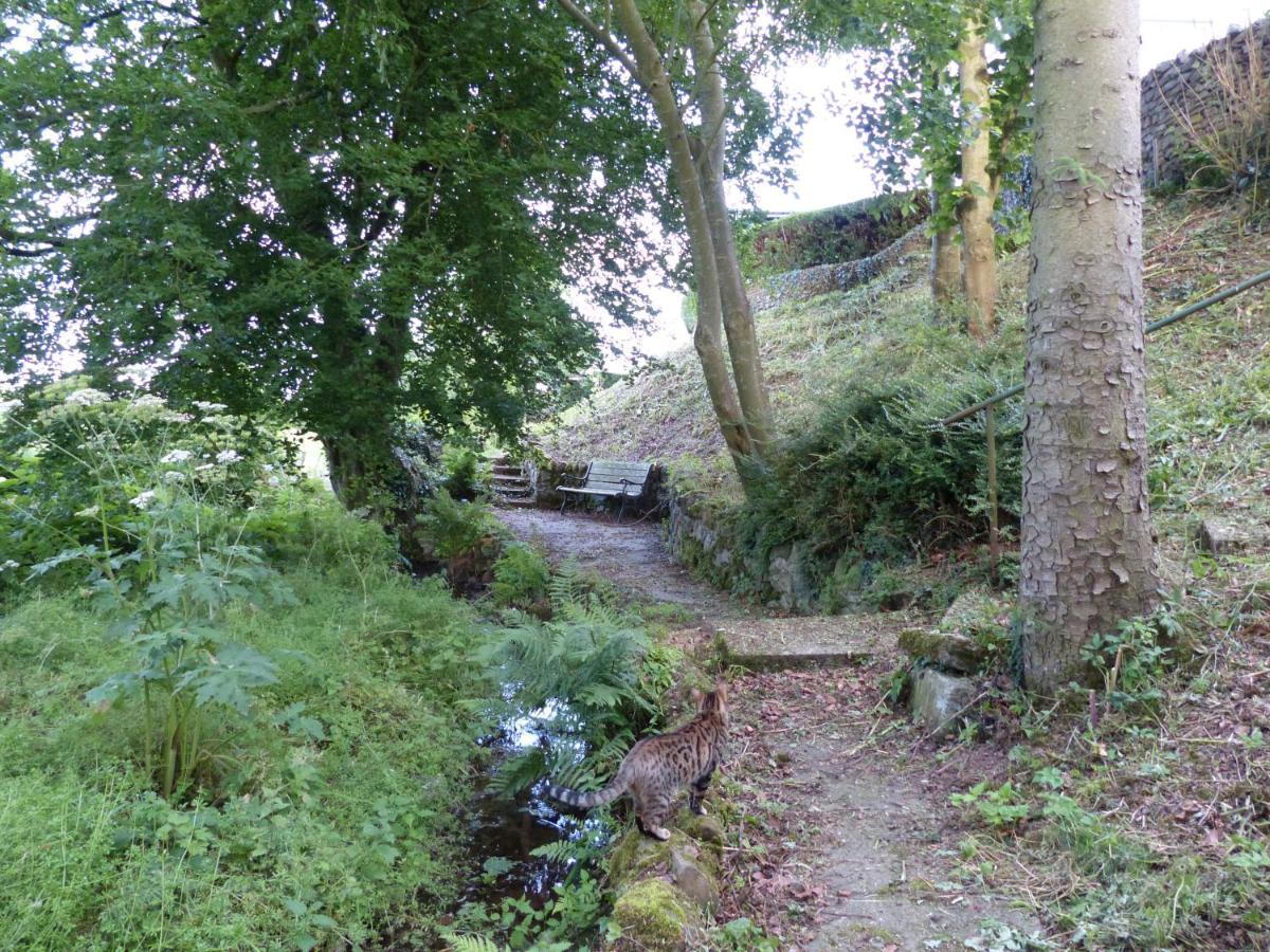Relax In A 1 Bedroom Apartment Near A Country Pub Eyemouth Buitenkant foto