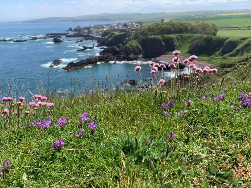 Relax In A 1 Bedroom Apartment Near A Country Pub Eyemouth Buitenkant foto